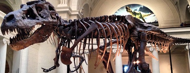 The Field Museum is one of See the USA.