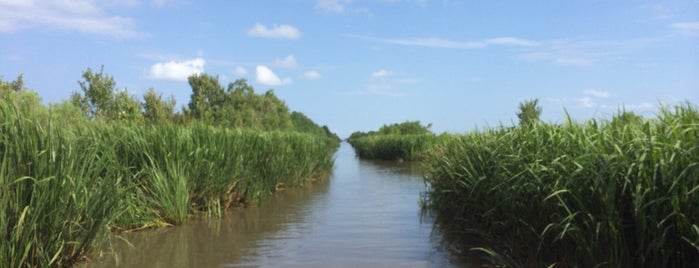 Jean Lafitte Swamp Boat Tours is one of Tempat yang Disimpan Nate.