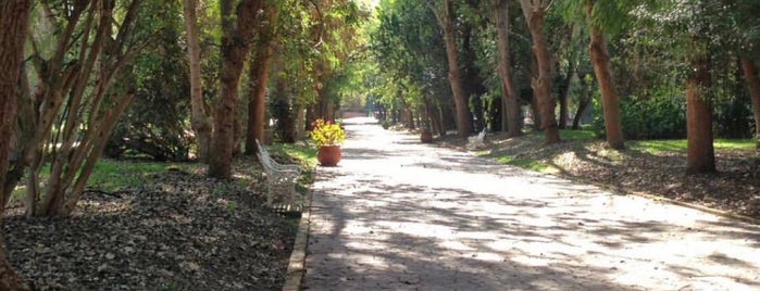 Parque Tangamanga is one of Lugares favoritos de Leo.