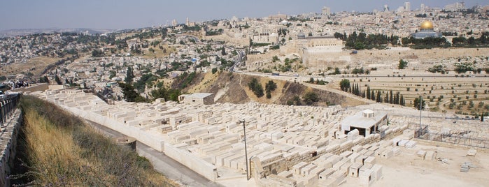 Mount Of Olives Jerusalem Cemetery is one of Orte, die Leo gefallen.