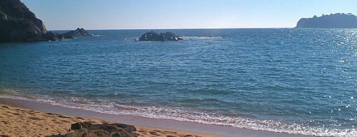 Playa Conejos is one of Leo 님이 좋아한 장소.