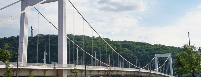 Erzsébet híd is one of Lugares favoritos de Leo.