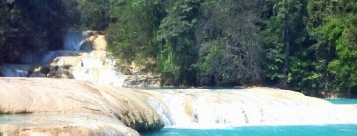 cascadas agua azul is one of Lugares favoritos de Leo.