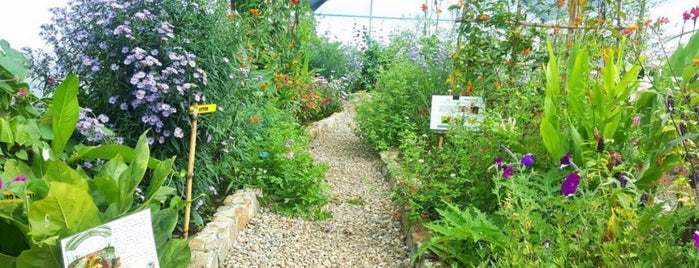 "La Mesita" Centro de Conservación y Educación Ecológica is one of สถานที่ที่ Leo ถูกใจ.