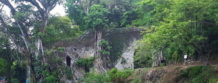 Cascadas de Tamasopo is one of Leo’s Liked Places.