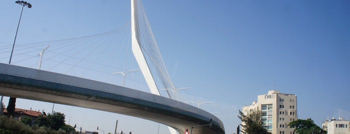 Calatrava Bridge is one of Locais curtidos por Leo.