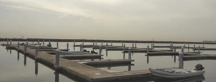 Malecón de Veracruz is one of Posti che sono piaciuti a Leo.