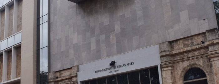 Museo Nacional de Bellas Artes is one of Lieux qui ont plu à Leo.