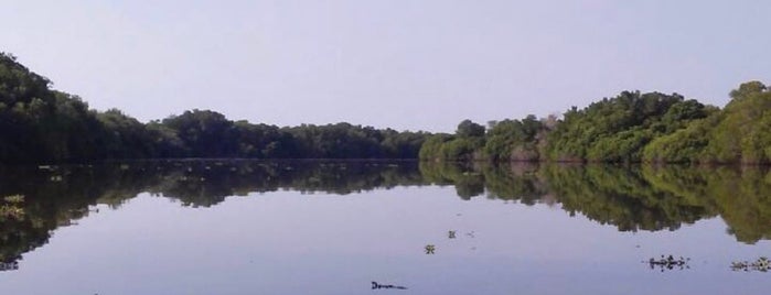 Laguna de Manialtepec is one of Locais curtidos por Leo.