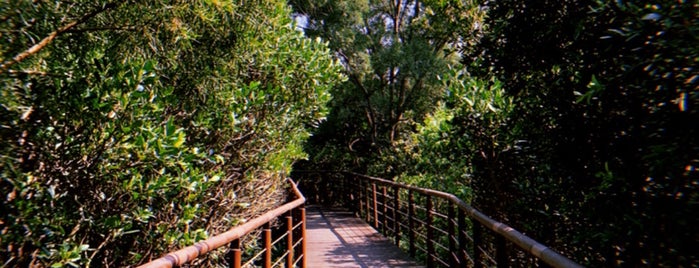Tamsui River Mangrove Reserve is one of Best of TPE.