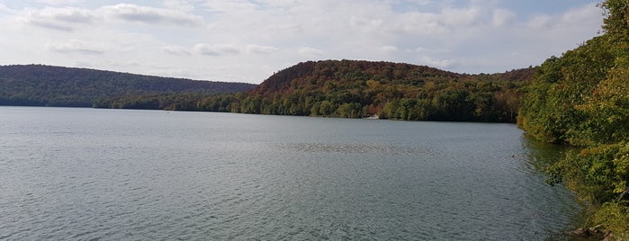 Monksville Reservoir is one of สถานที่ที่ Lizzie ถูกใจ.