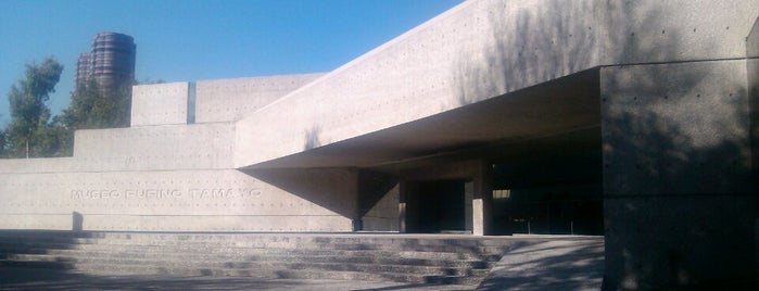Museo Tamayo is one of Mexico City DF.