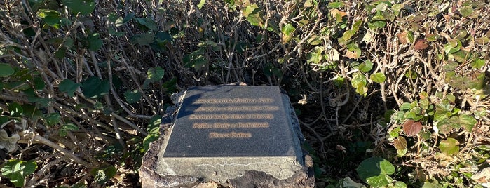 Honokahua Burial Site is one of Maui List.
