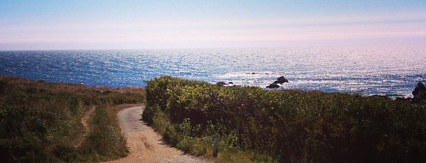 Sea Ranch is one of San Francisco 🌉.