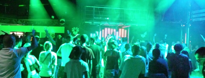 Dance Club Mania is one of Must-visit Nightclubs in Слънчев бряг.
