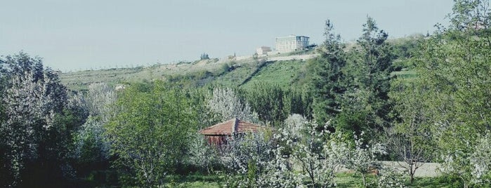 ^ Titizin Yeri ^ is one of Orte, die Gökhan gefallen.