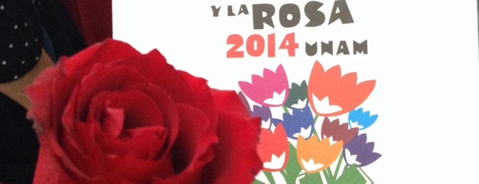 Fiesta del Libro y la Rosa is one of Tempat yang Disukai Daniel.