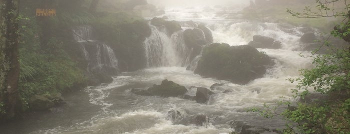 Cascadas de Quetzalapan is one of Mexico City Fun Times.