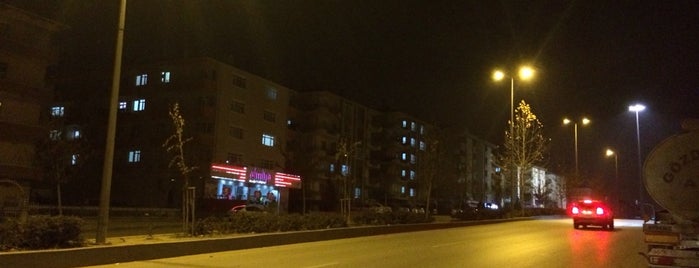 12. Cadde is one of HARBİ : понравившиеся места.
