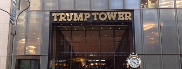 Trump Tower is one of Must see in New York City.
