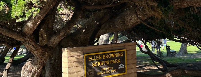 Ellen Browning Scripps Park is one of The 15 Best Places for Picnics in San Diego.