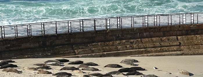 Coast Boulevard Park is one of San diego.