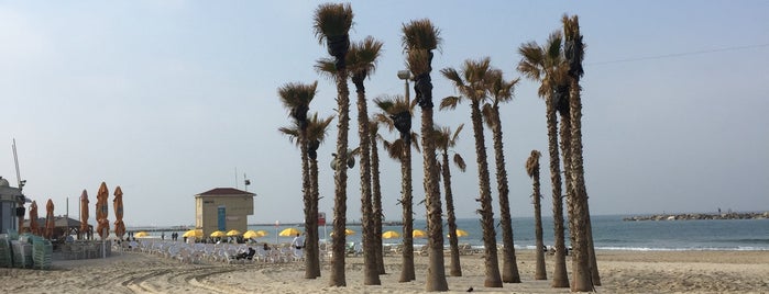Пляж Гордон is one of Tel Aviv.