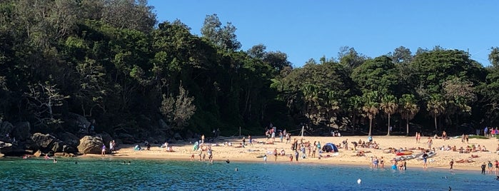 Shelly Beach is one of Sydney Best of.