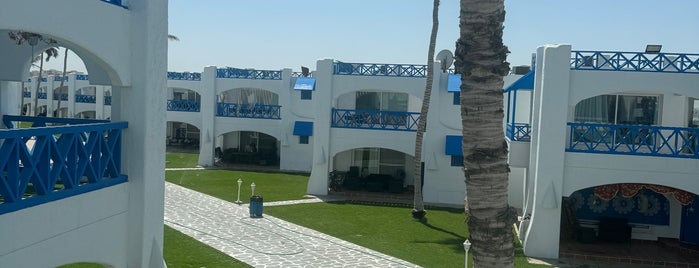 Dive Village is one of Jeddah.