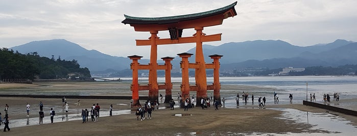 厳島神社 大鳥居 is one of Fernandoさんのお気に入りスポット.