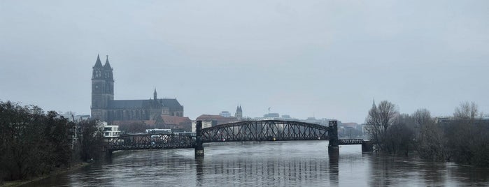 Sternbrücke is one of Sunny@Magdeburg.