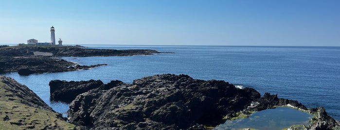 Fair Isle is one of UK.