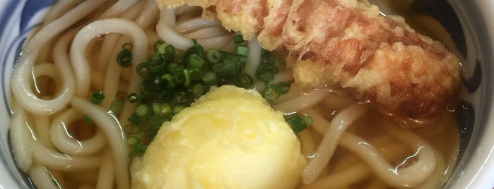 Sakai is one of うどん2.