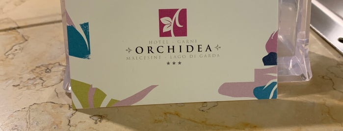 Hotel Garni Orchidea is one of VR | Alberghi, Hotels | Lago di Garda.