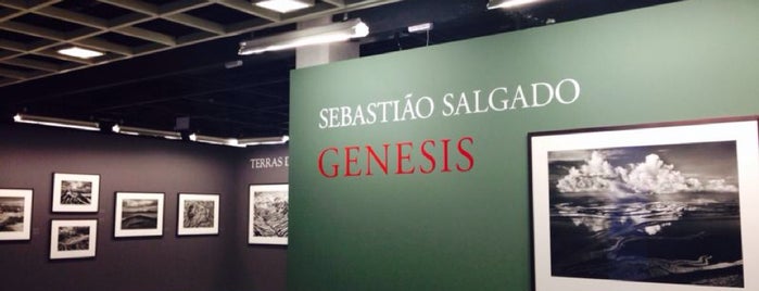 Exposição Genesis - Sebastião Salgado is one of Museus em SP.