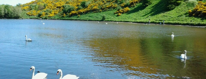 Holyrood Park is one of Эдинбурговое.
