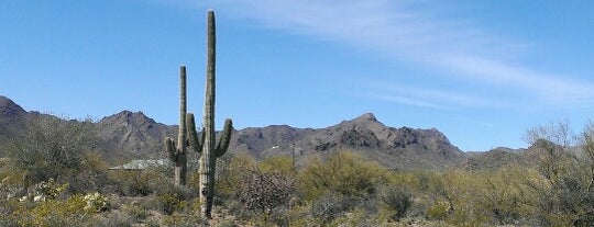 Feliz Paseos Park is one of Best Nature Around Tucson.