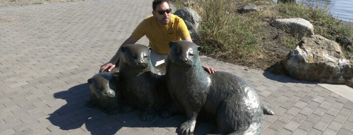 The Three Otters is one of สถานที่ที่ Michael ถูกใจ.