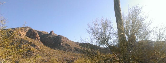 pima county trailhead is one of Things to do/Places to see 🏃🏻🏃🏻‍♀️💁🏼👩🏼‍🎨.