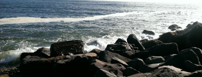 The Jetty is one of Lieux qui ont plu à Tyler.