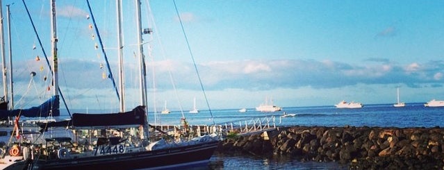 Molokai Ferry is one of Maui.