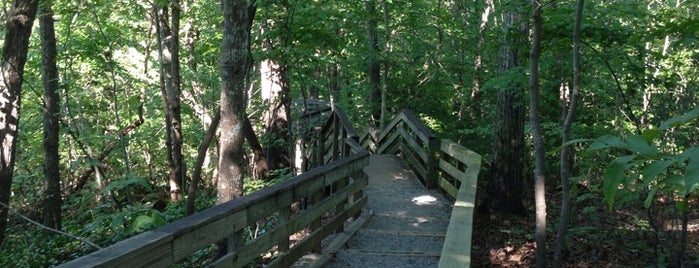 Hemlock Bluffs Nature Preserve is one of Tomさんの保存済みスポット.