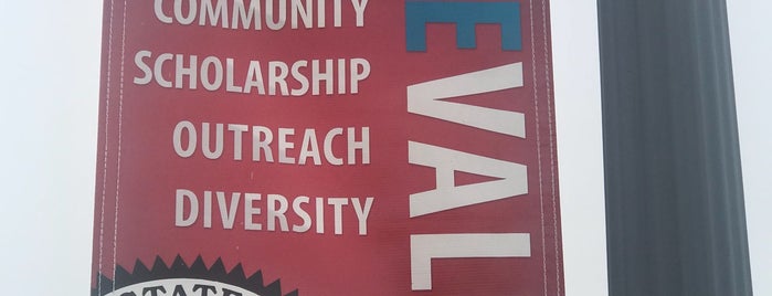 Delaware State University is one of Historically Black Colleges and Universities.