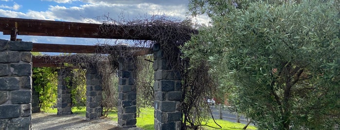 Women's Peace Garden is one of Park Hangs - Melbourne.