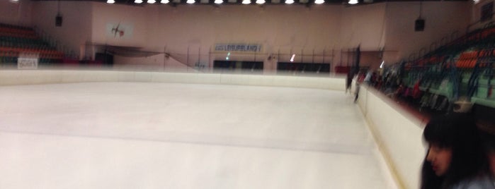 Ice Rink is one of Dubai.