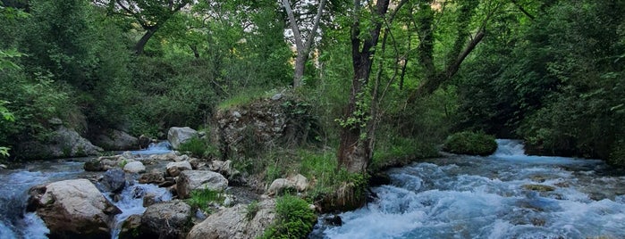 Köyceğiz Yuvarlakçay is one of Ege-Akdeniz.