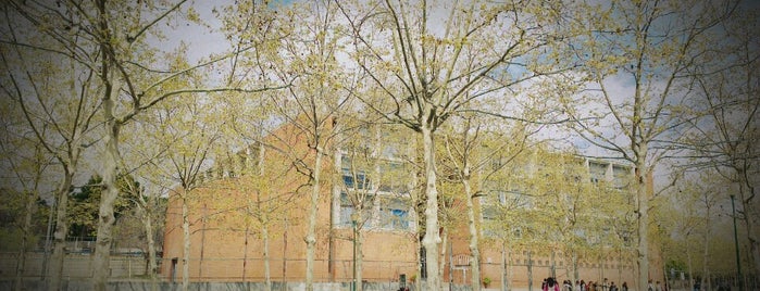 IES La Mallola is one of Barcelona Schools.