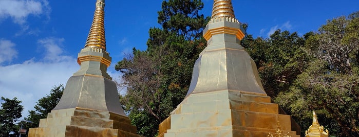 Phra Thad Doi Tung is one of Chiang Mai / Rai 🇹🇭 2023.
