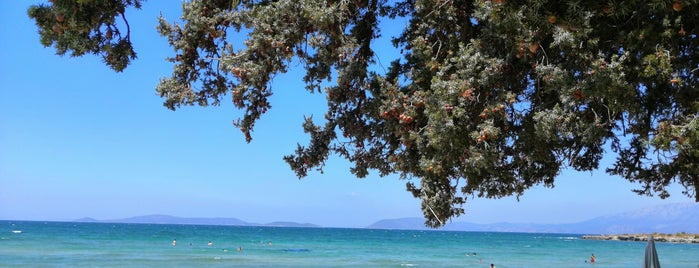 Ada Beach is one of İzmir.