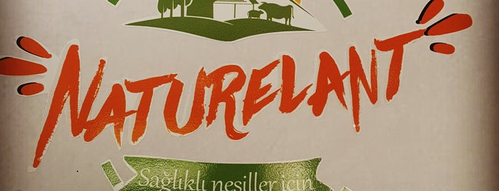 Naturelant Gıda Et Ve Süt Ürünleri is one of Özlem : понравившиеся места.